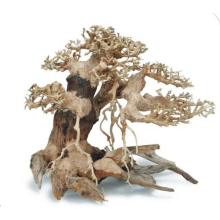 Grande Aquário Bonsai Driftwood